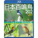 日本百鳴鳥 202 HD 【Blu-ray】