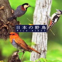 (BGM)/自然音 日本の野鳥 【CD】