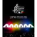 2PM LIVE 2012 Six Beautiful Days in 武道館 
