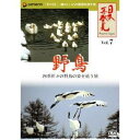 日本再発見 VOL.7?野鳥? 【DVD】