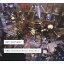 パット・メセニー/オーケストリオン・プロジェクト 【CD】