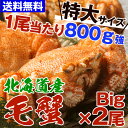 送料無料毛がに 蟹)毛ガニ(特大2尾) 送料無料 セール 毛がに 毛蟹 ) 北海道産毛ガニ 1.6kg強(特大800g×2尾) ボイル済み/1kg(1キロ)半以上/発砲BOX/レシピ付 【お歳暮 北海道 かに】【RCP】kegani