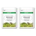 ホーステイル スギナ FFD 375mg 15カプセル Ecoパック 2個セット フレッシュアップグレード規格 ハーブサプリメント ECLECTIC エクレクティック
