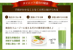 【送料無料】【シェイカー付】酵素入りスムージー!アサイースムージーグリーンスムージーレッドスムージー【バナナ/アサイ/ストロベリー/ダイエット/満腹感】