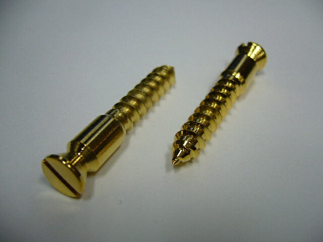 Floyd Rose Tapping Stud Screw/GO