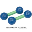 ダンノ DANNO 鉄アレー 4.5kg D808 【 フィットネス トレーニング用品 アレー ダンベル 】