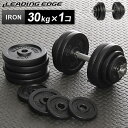 リーディングエッジ (LEADING EDGE) アイアンダンベル 30kg 単品 LE-IDB30 【トレーニング器具 スポーツ用品 筋トレ ベンチプレス ダンベルプレス】【espb】