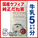 【送料無料】定期購入 スーパーヨーグルト 種菌 5包入エステリア ナチュラル ケフィア 【スーパーヨーグルト 】