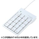 【サンワサプライ】【NT-M5UW】パンタグラフキー採用のMac用USBテンキー（クリアホワイト）