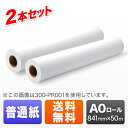 プロッター用紙・ロール紙(普通紙・厚手タイプ・A0ロール・841mm×50m・2R入り)【送料無料】