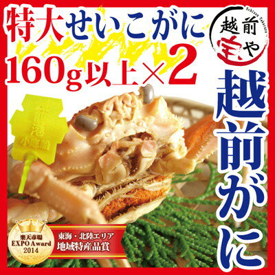 【11月20日までのお届け20％割引⇒6240円】早期予約特典付き 越前カニ 2杯 セット (せいこがに/メスがに/香箱ガニ) 送料無料【冷蔵】ギフト 越前かに 越前ガニ 越前がに カニ専門店