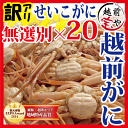 【11月30日までのお届け30%割引⇒18,900円】越前カニ 20杯 セット (せいこがに/メスがに/香箱ガニ) 送料無料【冷蔵】ギフト 越前かに 越前ガニ 越前がに カニ専門店