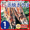 浜焼きさば（丸焼きサバ） 1尾全長約30cm 越前伝統焼き鯖【4セット以上送料無料】おつまみ、おかずにっ【0603_point】お中元 夏ギフト