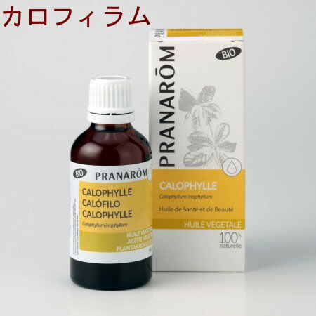 PRANAROM[プラナロム]植物油（キャリアオイル）★カロフィラム★【50ml】12550