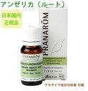 プラナロム アンゼリカ (ルート) 10ml p-09 ※成分分析表付き ※農薬検査済み エッセンシャルオイル で安全・安心のアロマテラピー ケモタイプ 精油は癒し以外の効能も・・・天然の無添加オーガニック アロマオイル PRANAROM 送料無料 精油