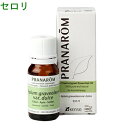 セロリ 10ml p-12 ※成分分析表付き ※農薬検査済み...