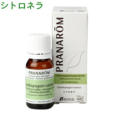 PRANAROM[プラナロム]精油★シトロネラ★【10ml】p-60 [アロマオイル エッセンシャルオイル トップノート メディカルアロマ]【8,000円以上お買い上げで送料無料】安全なメディカルアロマテラピーにプラナロム精油のシトロネラ【20%OFF】[アロマオイル エッセンシャルオイル 精油]