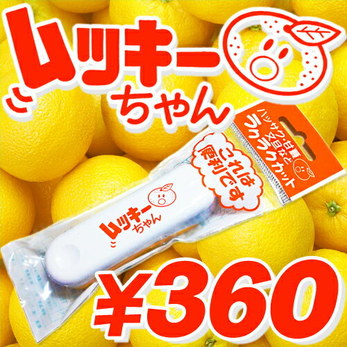 みかんの皮でキッチン周りをピカピカにする方法 カンタンお掃除かくし技