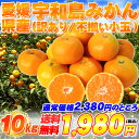 【訳あり】愛媛県産宇和島みかん/不揃い小玉プチサイズ10kg【送料無料/一部地域を除く】【smtb-KD】