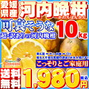 【特に訳あり】愛媛県愛南町産「可哀そうな河内晩柑」10kg【...