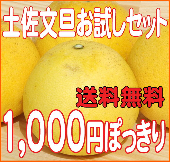 こだわり農園の土佐文旦家庭用おためしセット【送料無料1000円ぽっきり】