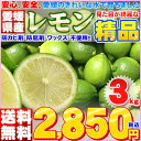 \綺麗な精品レモン/愛媛県産 精品レモン サイズ込み3kg【...