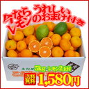 宇和島プチみかん5kg　愛媛県宇和島の美味しい小玉みかんを厳選しお届けさせて頂きます。