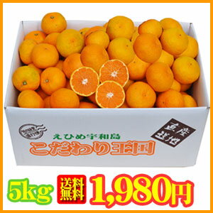 宇和島早生みかん5kg　【送料無料】