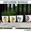 『JAPANESE BONSAI (ジャパニーズボンサイ) 全4種類』【 BONSAI 盆栽 栽培 黒松 】【クーポン対象商品】※キャンセル不可
