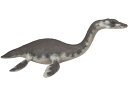 PAPO パポ社 プレシオサウルス?フランス、PAPO(パポ社)のDinosaursシリーズ、恐竜のフィギュア。大迫力のプレシオサウルスのフィギュアです。