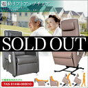 DB完売しました【送料無料】電動リフトアップチェア/Z-10※立ち上がり補助機能付(リビング・電動リクライニングソファ・パーソナルチェア・1P・一人掛・介助・介護福祉)【0301楽天カード分割2017】【RCP08】