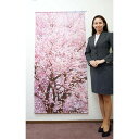 のぼり 全国有名弁当まつり