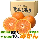 ☆予約販売☆ 訳あり和歌山みかん 10kg 3S~3Lサイズ【送料無料】わけあり・サイズふぞろい・キズ・その他【みかん/訳あり/わけあり】
