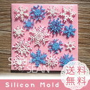 【Ever garden】レースモールド シリコンモールド レジン 樹脂 粘土 レジン シリコン 型 抜き型 キット (雪の結晶) 新入荷 シリコンプレート 型取り オルゴナイト 型 シリコン 型 レジン