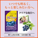 【送料無料】ブルーベリー&ルテイン サプリメント【エバーライフ】【楽ギフ_包装】ブルーベリー サプリメント ブルーベリー サプリ 視力 ギフト プレゼント 誕生日 健康 アントシアニン ベリーエキス ビタミン ルテイン 抗酸化 栄養機能食品