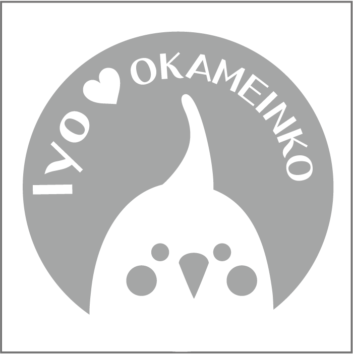 【名入れ 鳥ステッカー 13cm】ちらみステッカー オカメインコ シルバー シルエットステッカー 車ステッカー 転写ステッカー インコ 鳥用品 鳥グッズ 鳥雑貨 ギフト プレゼント