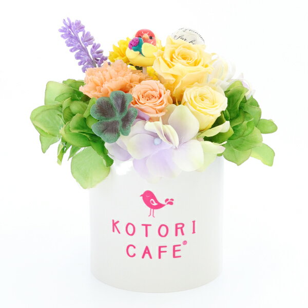 y\񏤕izƂJtF̓̕@Ƃ̃vU[uht[@RUNCRiCG[jy5/8?z ObY/G/ƂJtF/suzumeya/̓/}U[YfC/Mtg/v[g/蕨/t[AWg/p/eI/͂