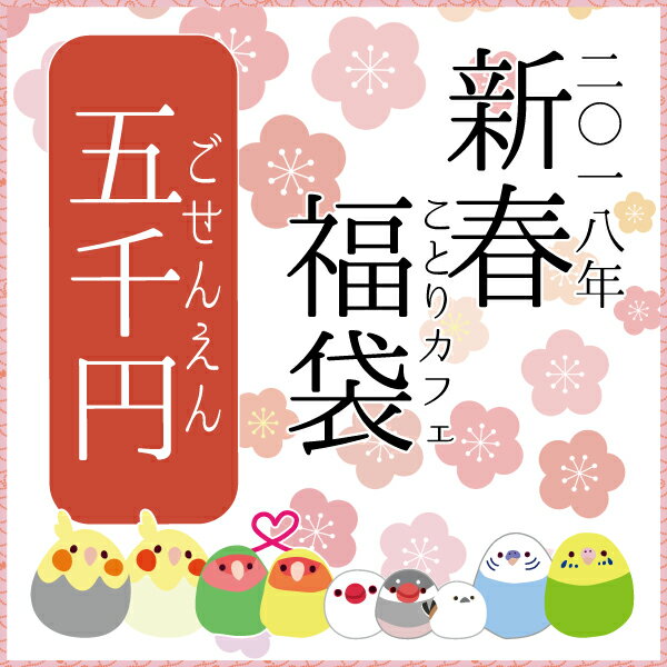 【予約商品】新春ことり福袋2018 　★5千円【全9種】　★ことりカフェカレンダー付【2018年1月1日お届け】　◆ハッピーバッグ/ハッピーパック/アソート/小鳥雑貨/ことりグッズ