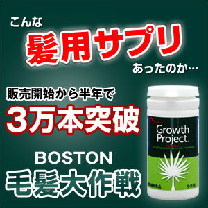 お使いのスカルプシャンプーに限界を感じたら 毛髪大作戦Growth Project.BOSTON 540粒(6ヵ月分) ヘアケアサプリメントが気になっている方必見！ ノコギリヤシ 亜鉛 リジン ケラチン アミノ酸 ヒハツ ミレット コエンザイムお使いのヘアケアシャンプーに限界を感じている方必見！うすい・抜けるでお悩みならこちらのヘアケアサプリメントBOSTON一日3粒の簡単ヘアケアで喜びを実感！