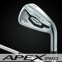 Callaway(キャロウェイ) APEX PRO 2016 アイアン 6本セット (I#5-PW) N.S.PRO 950G.H スチールシャフト