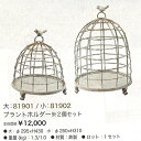 プラントホルダー ※2個セット(81901-91902)鉄製 ワイヤー 小鳥 バード