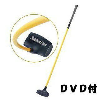 ڥ󥰥ץɥǥ۶ë¿ϺץSWINGPRO֥ʡ