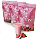 【スポーツ館】DNSWHEY fit PROTEIN(ホエイフィットプロテイン)690g(1食あたり/約23g)