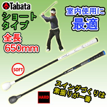 Tabata(タバタ)スイング練習器具トルネードス