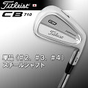 【ポイント10倍中!】2009新製品タイトリスト日本正規品CB710 鍛造マッスル・キャビティアイアン単品(#2、#3、#4)スチールシャフト※11月14日発売予定予約受付中※
