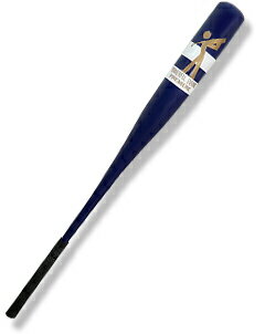 ライトパワフルスイング「心気体」プレミアムドライバ