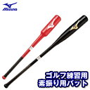 MIZUNO（ミズノ）日本正規品ゴルフスイング素振り用バット45LW−10001「ゴルフ練習用品」【あす楽対応】