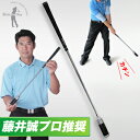 藤井誠プロ推奨！正確なインパクトゾーンが確認できるスイング練習器Hole　in　One（ホールインワン）AGHO-7022「ゴルフ練習用品」 