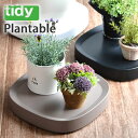 ティディ プランタブル tidy Plantable 植木鉢 キャスター台 OT-668-100 キャスター付き 鉢 台 鉢 キャスター 観葉植物 台 植木鉢トレイ おしゃれ テラモト