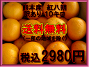 熊本産 紅八朔訳あり・10キロ【送料無料】一部の地域を除く...
